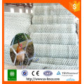 Anping hexagonal wire mesh/hexagonal chicken wire mesh/galvanized hexagonal wire netting